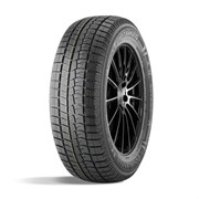 Winterking DW05 205/55 R16 91T 59164