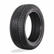 UltraGrip Performance + FP 255/35 R21 98V 43300