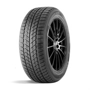 Winterking DW09 235/55 R17 99T 43111