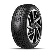 Winguard Ice Plus 225/45 R17 94T 65419