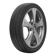 Ecopia EP500 155/70 R19 84Q 83459