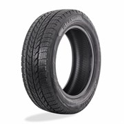 Cargo UltraGrip 225/55 R17 109/107T 58820